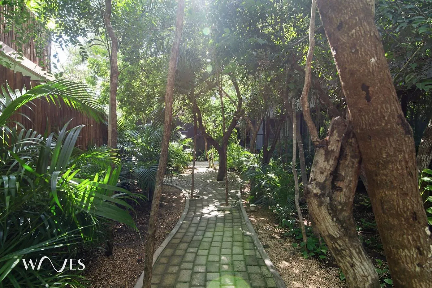Apartment 2Br Wprivate Pool - Steps Away From The Beach Tulum